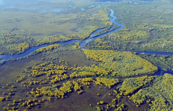 Aerial view of the Pantanal wetland in Brazil, featuring a winding river snaking through lush green floodplains, dotted with trees and distant wildlife habitats under a vast blue sky.