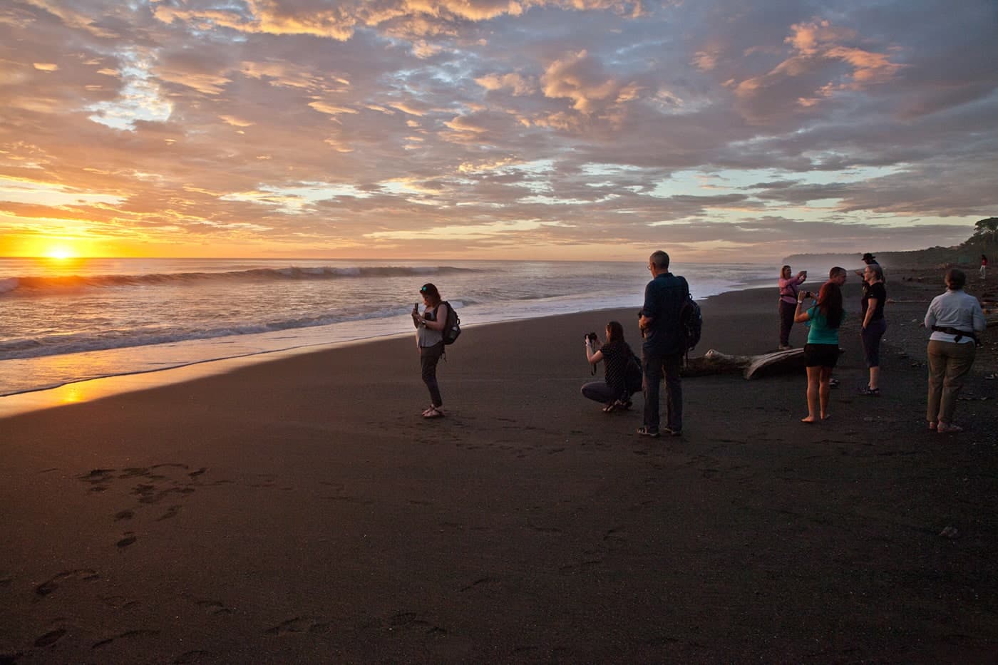 sunset sea turtle patrol