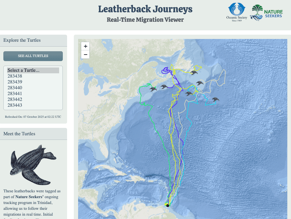 map of leatherback turtle tracks